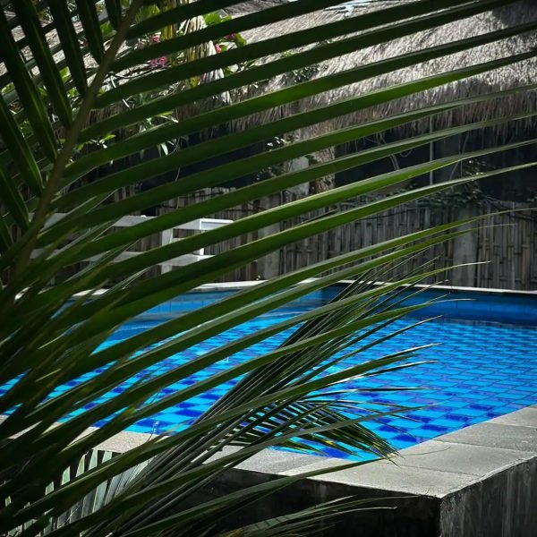 Swimmingpool and nature at Hakuna Matata Hotel Gili Air